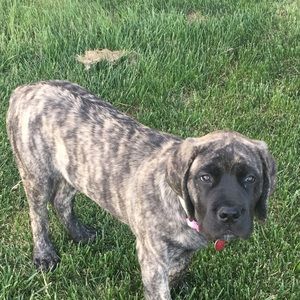 Meet your Posher, Renae